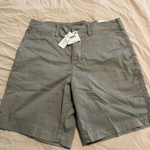 American Eagle Outfitters Gray Flat Front Men Shorts